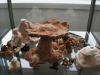 dsc01742