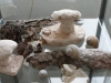 dsc01751